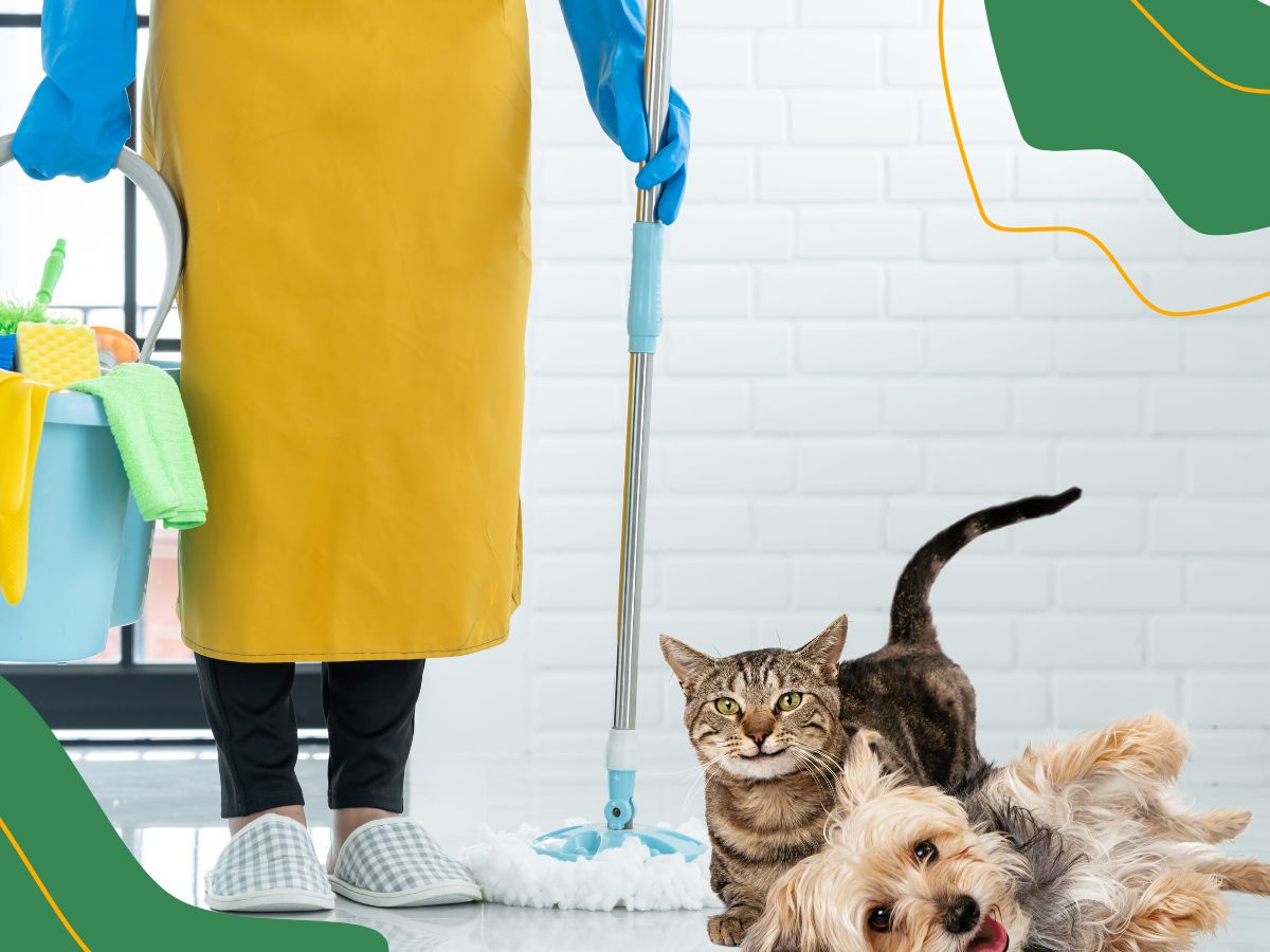 Commercial Where a Dog a Cat and a Bird Make Owner Spill Food then they Cleaning it Up